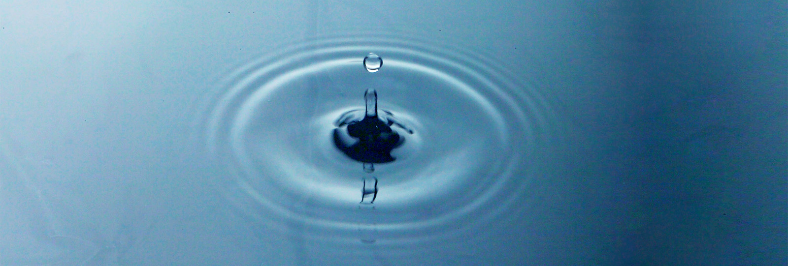 closeup picture of a a drop of water dropping