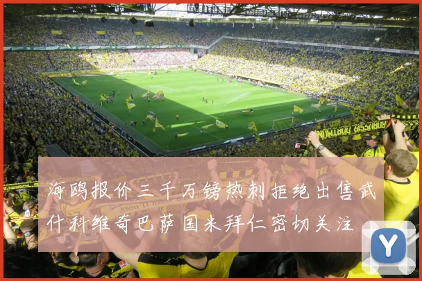 海鸥报价三千万镑热刺拒绝出售武什科维奇巴萨国米拜仁密切关注